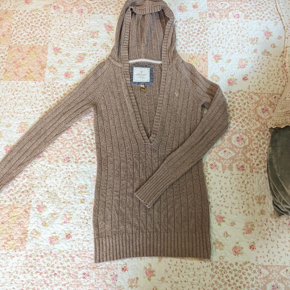 2000s American Eagle Cute Hooded Pullover Sweater Bella Swan Inspired